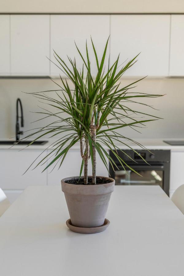 רומא La Dolce Vita - Sunny Penthouse Trastevere Station 100Sqm מראה חיצוני תמונה